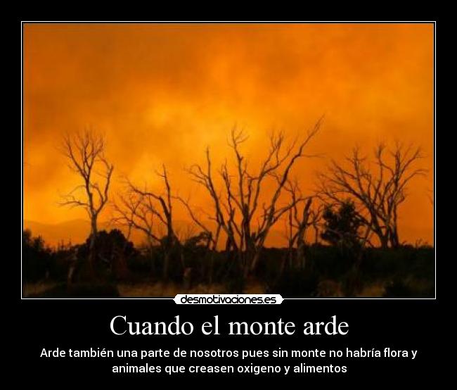 Cuando el monte arde - Arde también una parte de nosotros pues sin monte no habría flora y
animales que creasen oxigeno y alimentos