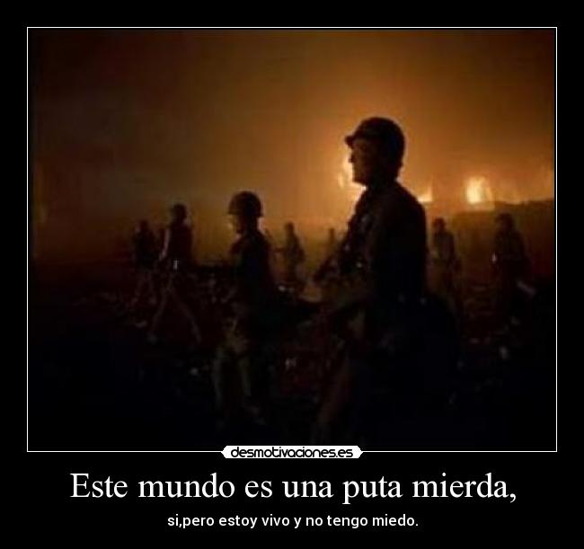 carteles mundo full metal jacket desmotivaciones