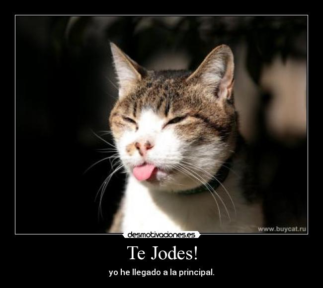 Te Jodes! -