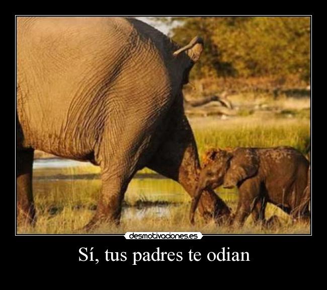 Sí, tus padres te odian -