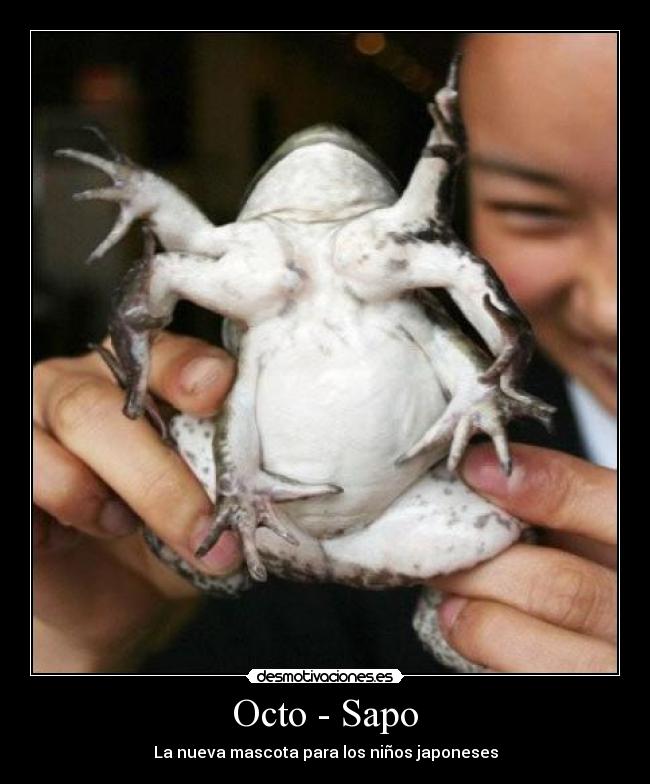Octo - Sapo - La nueva mascota para los niños japoneses