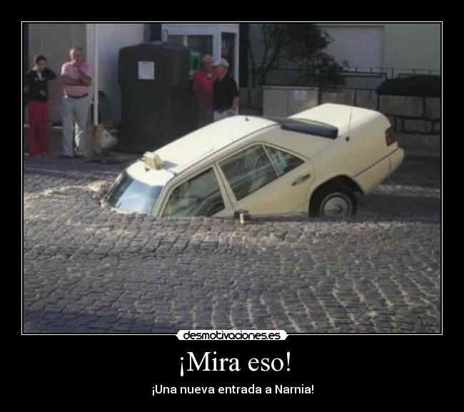 ¡Mira eso! - ¡Una nueva entrada a Narnia!