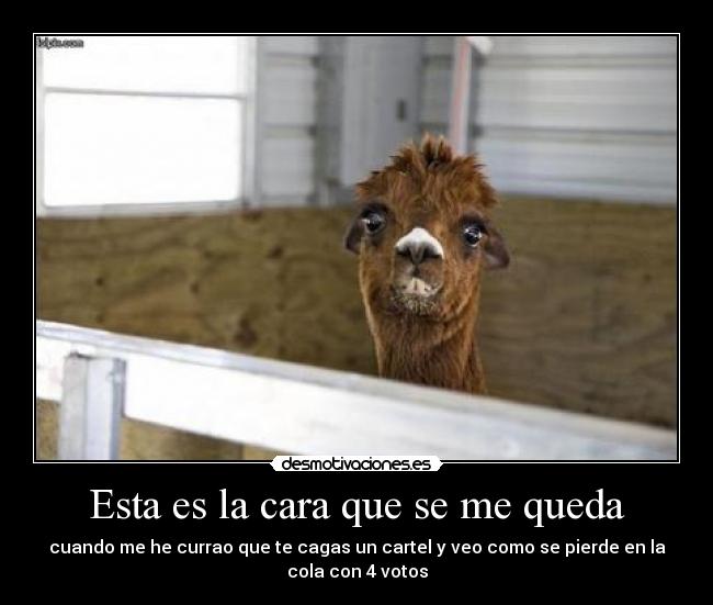 Esta es la cara que se me queda - cuando me he currao que te cagas un cartel y veo como se pierde en la
cola con 4 votos