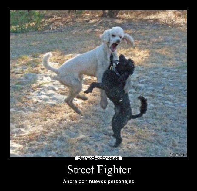 carteles perros desmotivaciones