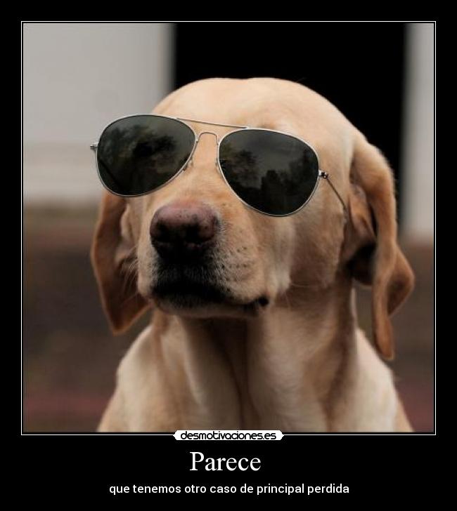 Parece  - 