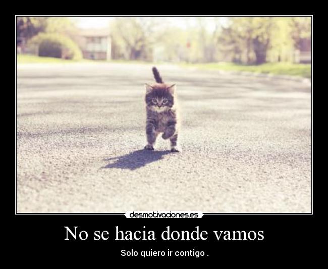 No se hacia donde vamos - 