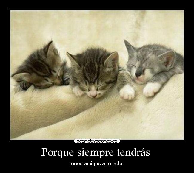 Porque siempre tendrás - unos amigos a tu lado.