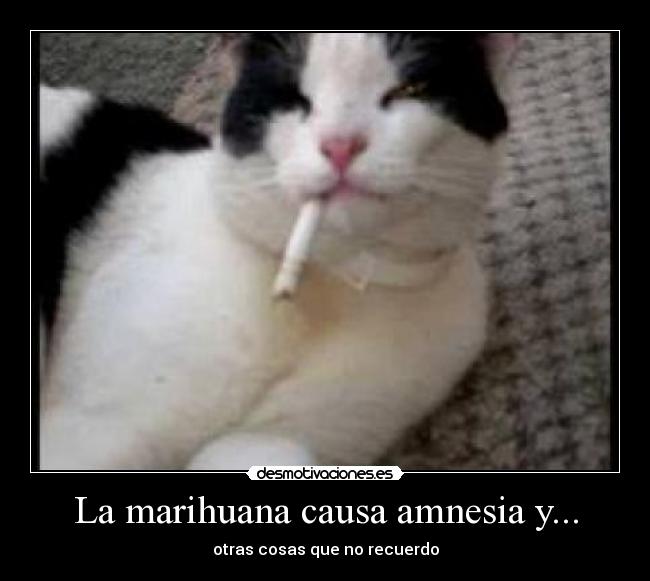 carteles marihuana causa amnesia desmotivaciones