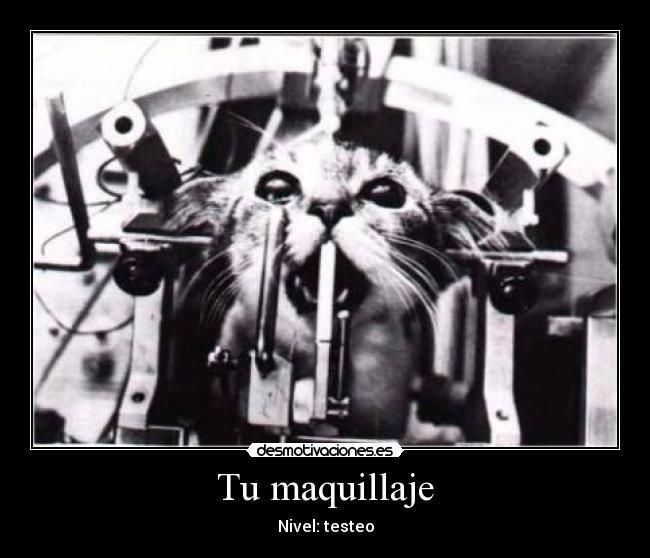 Tu maquillaje - Nivel: testeo