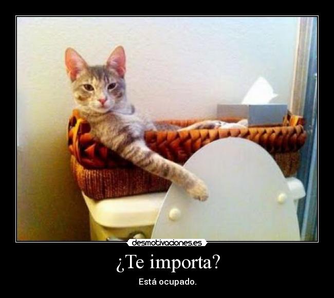 ¿Te importa? -