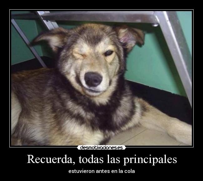 Recuerda, todas las principales - 