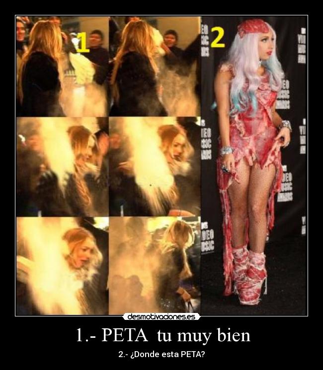 1.- PETA tu muy bien - 2.- ¿Donde esta PETA?