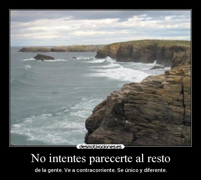 carteles anaabelen desmotivaciones