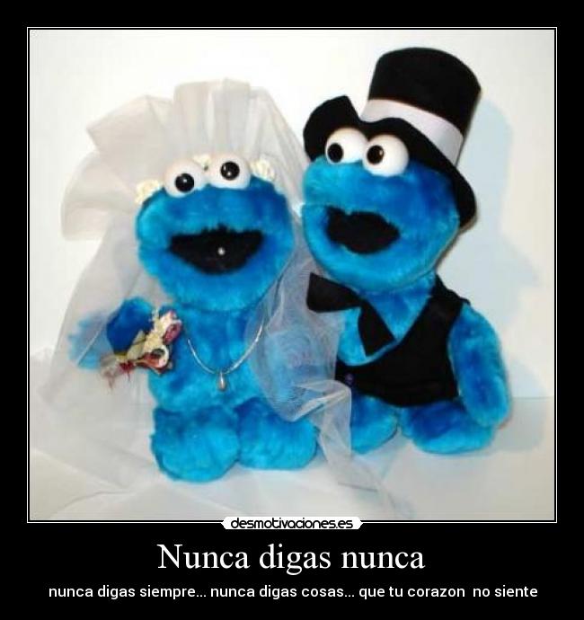 Nunca digas nunca - nunca digas siempre... nunca digas cosas... que tu corazon♥ no siente