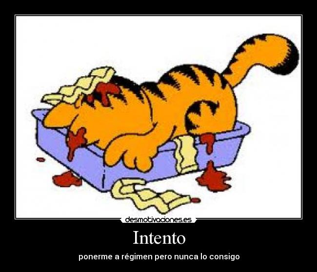 Intento - 