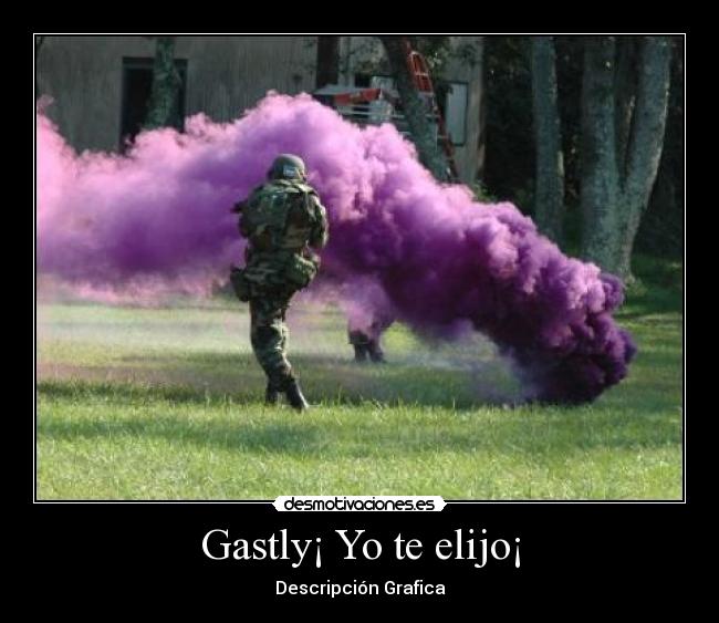 Gastly¡ Yo te elijo¡ - Descripción Grafica