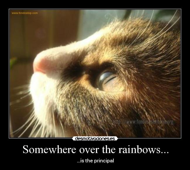 Somewhere over the rainbows... - ...is the principal