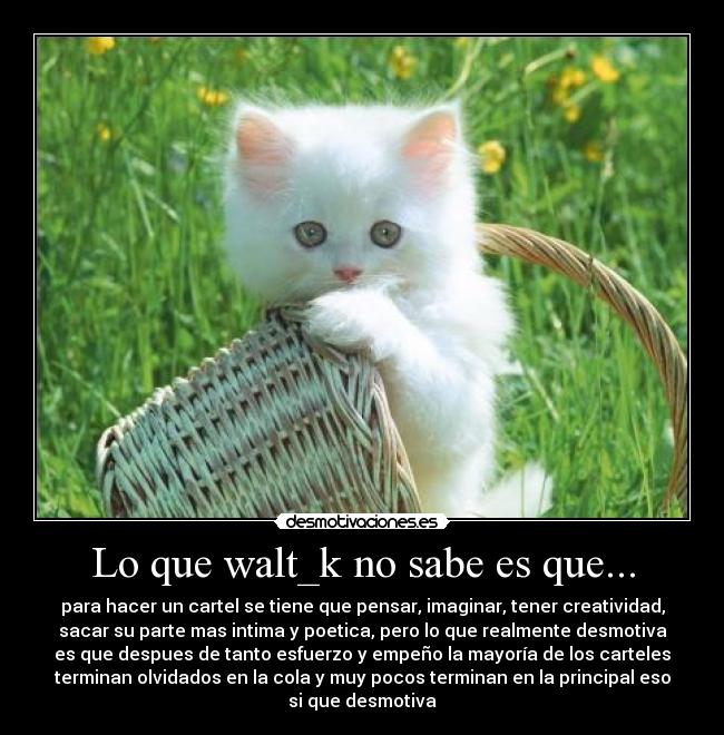 carteles fotito gatito blanco porque los walt_k todas habian sido usadas desmotivaciones