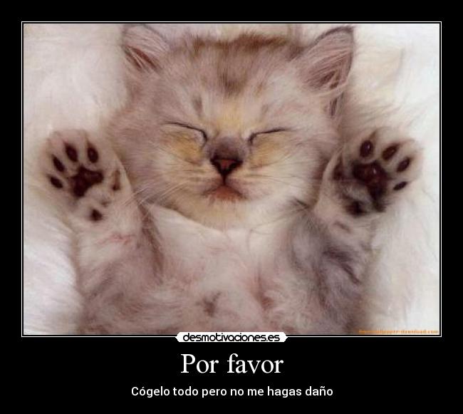 Por favor - 