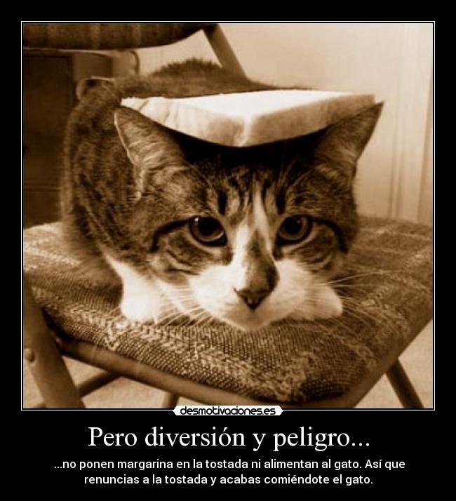 Pero diversión y peligro... -  ...no ponen margarina en la tostada ni alimentan al gato. Así que
renuncias a la tostada y acabas comiéndote el gato.