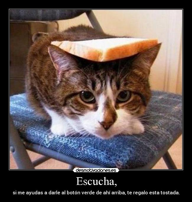Escucha, - si me ayudas a darle al botón verde de ahí arriba, te regalo esta tostada.