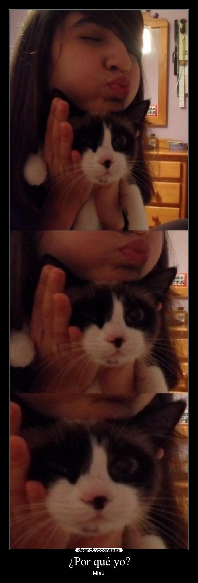 ¿Por qué yo? - Miau.