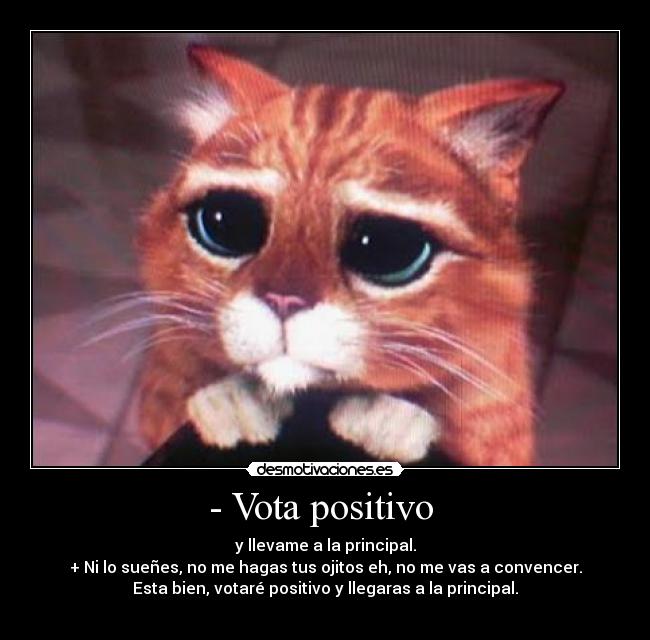- Vota positivo  - 