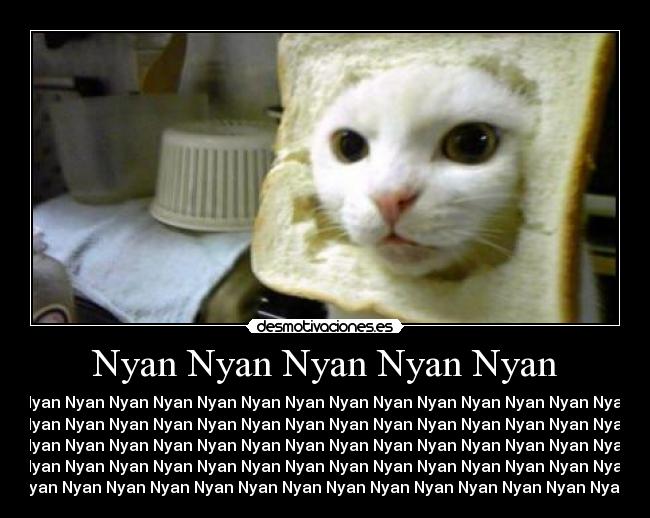 Nyan Nyan Nyan Nyan Nyan - 