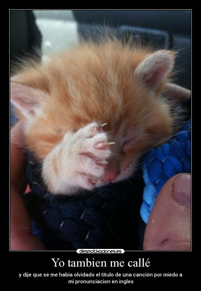 Yo tambien me callé - 