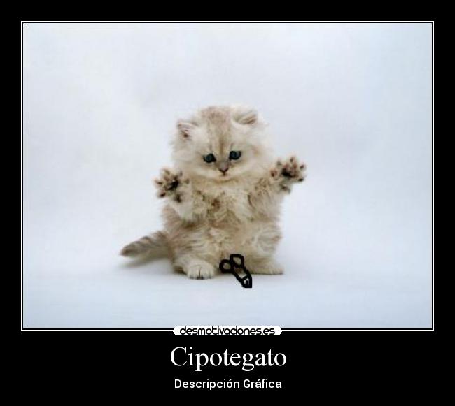 Cipotegato - Descripción Gráfica