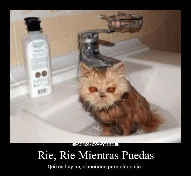 Rie, Rie Mientras Puedas - 