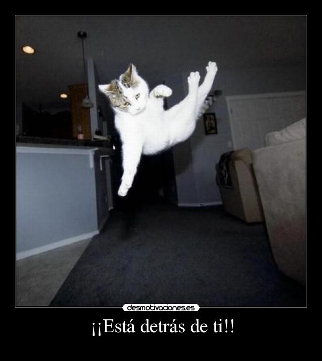 ¡¡Está detrás de ti!! -