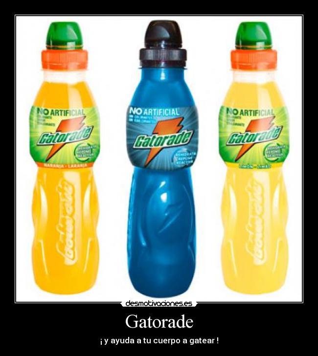 carteles xdd desmotivaciones