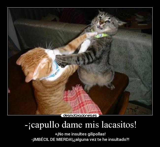 -¡capullo dame mis lacasitos! - 