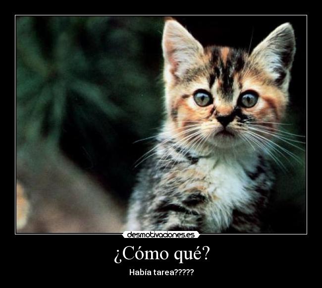 carteles nada desmotivaciones