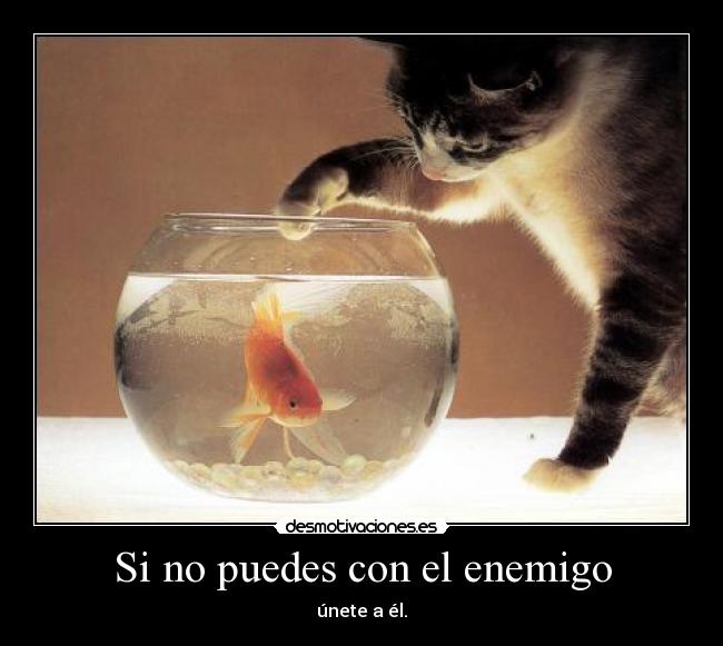 Si no puedes con el enemigo -