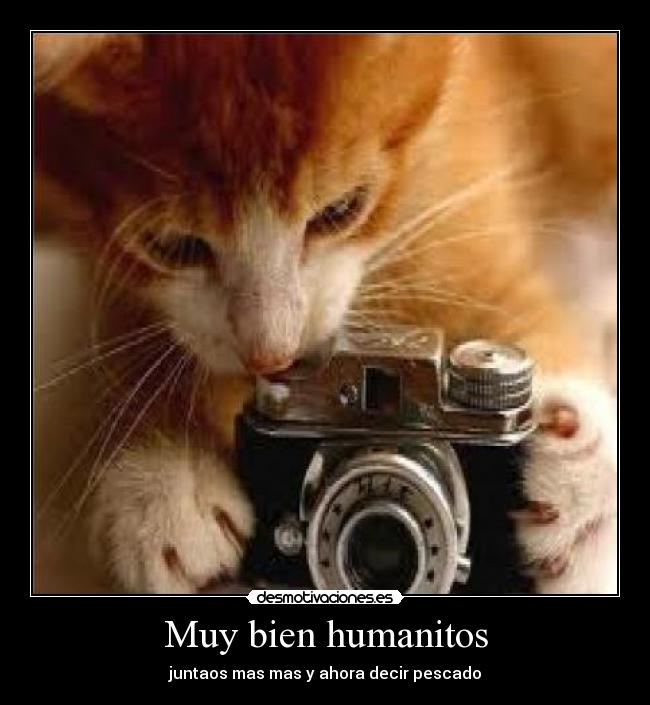 Muy bien humanitos - 