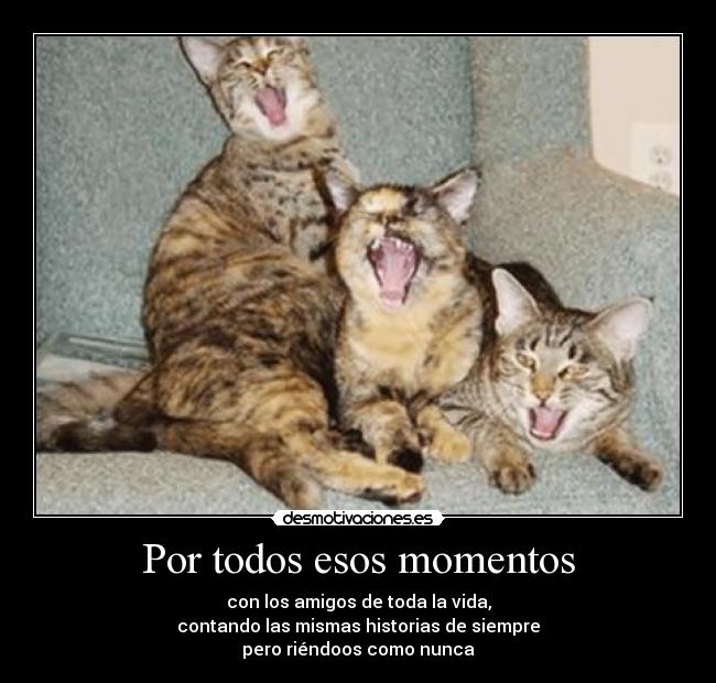 Por todos esos momentos - con los amigos de toda la vida,
contando las mismas historias de siempre
pero riéndoos como nunca