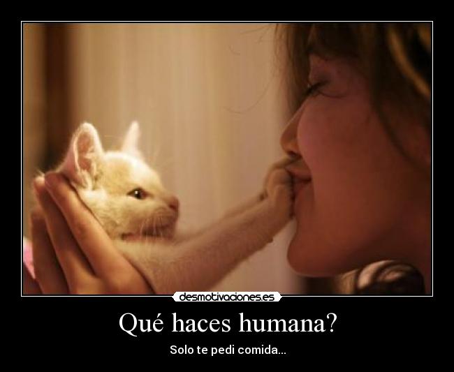 Qué haces humana? - Solo te pedi comida...