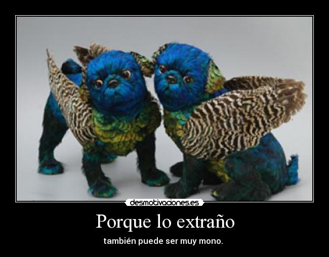 Porque lo extraño -