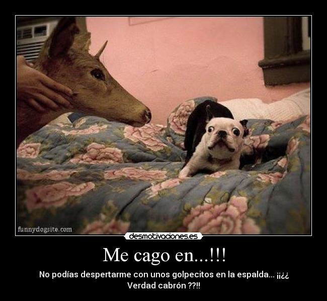 Me cago en...!!! - 