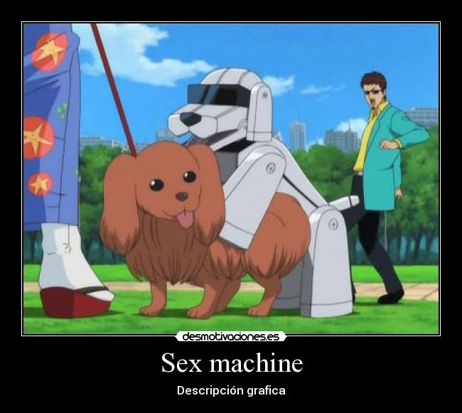 Sex machine - Descripción grafica