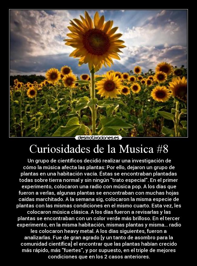 Curiosidades de la Musica #8 -  Un grupo de científicos decidió realizar una investigación de
cómo la música afecta las plantas: Por ello, dejaron un grupo de
plantas en una habitación vacía. Éstas se encontraban plantadas
todas sobre tierra normal y sin ningún trato especial. En el primer
experimento, colocaron una radio con música pop. A los días que
fueron a verlas, algunas plantas se encontraban con muchas hojas
caídas marchitado. A la semana sig, colocaron la misma especie de
plantas con las mismas condiciones en el mismo cuarto. Esta vez, les
colocaron música clásica. A los días fueron a revisarlas y las
plantas se encontraban con un color verde más brilloso. En el tercer
experimento, en la misma habitación, mismas plantas y misma... radio
les colocaron heavy metal. A los días siguientes, fueron a
analizarlas. Fue de gran agrado [y un tanto de asombro para la
comunidad científica] el encontrar que las plantas habían crecido
más rápido, más fuertes, y por supuesto, en el triple de mejores
condiciones que en los 2 casos anteriores.