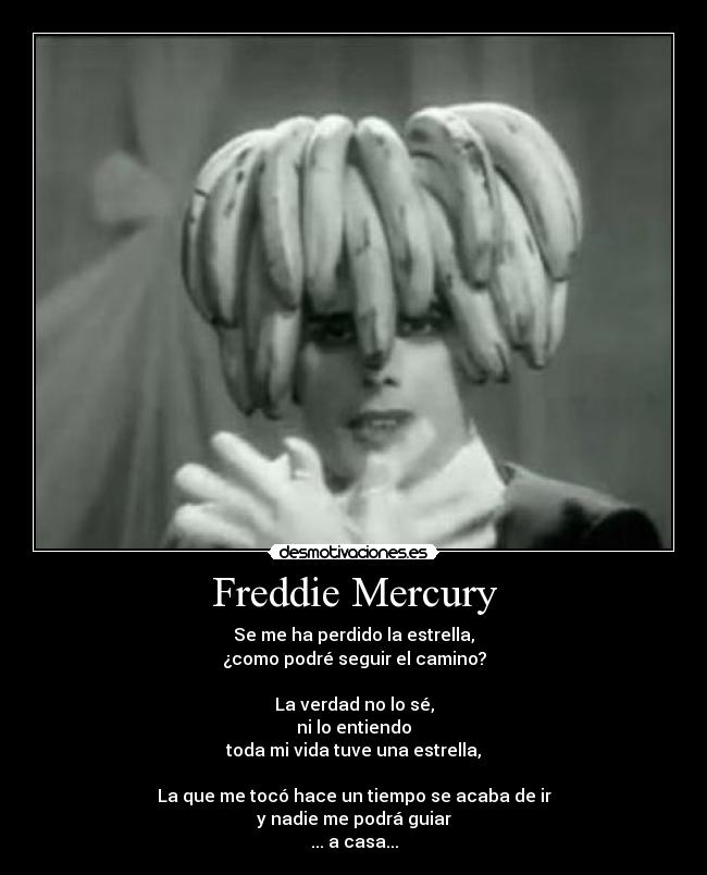 Freddie Mercury - Se me ha perdido la estrella,
¿como podré seguir el camino?
La verdad no lo sé,
ni lo entiendo
toda mi vida tuve una estrella,
La que me tocó hace un tiempo se acaba de ir
y nadie me podrá guiar
... a casa...