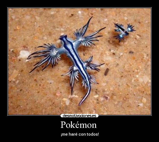 Pokémon  - ¡me haré con todos!