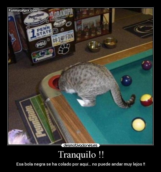 Tranquilo !! - 