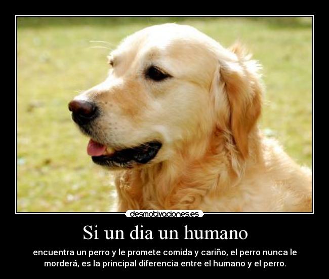Si un dia un humano -