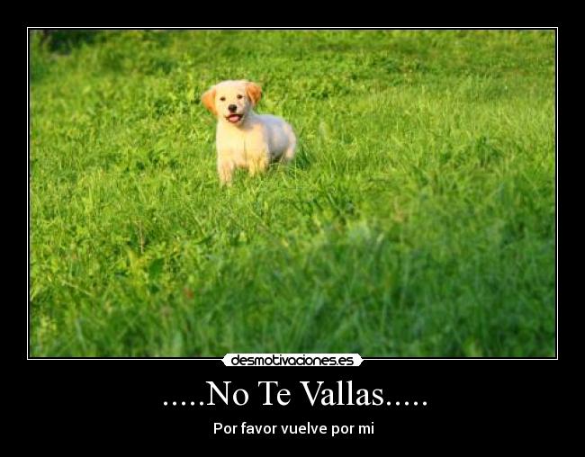 .....No Te Vallas..... - Por favor vuelve por mi