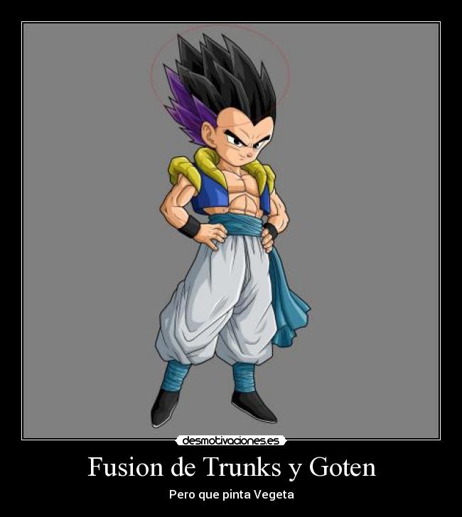 Fusion de Trunks y Goten - Pero que pinta Vegeta