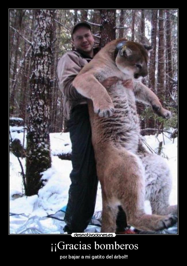 carteles gracias desmotivaciones